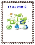 Tế bào động vật