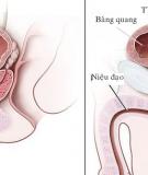 Ðề phòng nhiễm khuẩn đường tiết niệu do u xơ