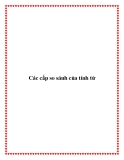 Các cấp so sánh của tính từ