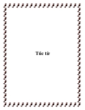 Túc từ