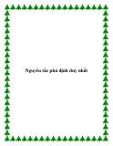 Nguyên tắc phủ định duy nhất