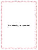 Câu hỏi đuôi (Tag – question)