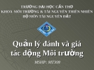 Quản lý đánh và giá tác động Môi trường