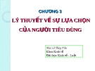 Chương 3: Lý thuyết về sự lựa chọn của người tiêu dùng