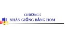 Chương 5 nhân giống bằng hom