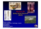 Module 06: Boiling Water Reactors