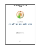 Giáo trình cơ sở  văn hóa Việt Nam - Lê Chí Dũng