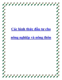 Các hình thức đầu tư cho nông nghiệp và nông thôn