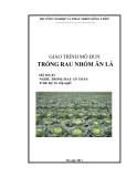 Giáo trình Trồng rau nhóm ăn lá - Nghề: Trồng rau an toàn - Nxb. Hà Nội