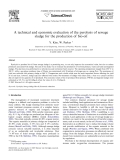 A technical and economic evaluation of the pyrolysis of sewage sludge for the production of bio-oil