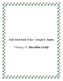  Giáo trình kinh tế học công cộng (Joseph E. Stiglitz)  Chương 13: Bảo hiểm xã hội 