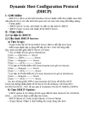 Dynamic Host Configuration Protocol (DHCP)