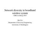 Network diversity in broadband wireless system