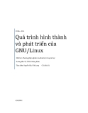 Tiểu luận:Quá trình hình thành và phát triển của GNU/Linux