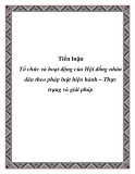 Tiểu luận Tổ chức và hoạt động của Hội đồng nhân dân theo pháp luật hiện hành – Thực trạng và giải pháp