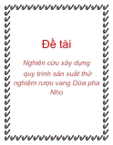 Đề tài: Nghiên cứu xây dựng quy trình sản xuất thử nghiệm rượu vang Dứa pha Nho