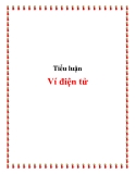 Tiểu luận:  Ví điện tử