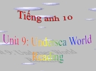 Bài giảng Tiếng Anh 10 unit 9: Undersea world