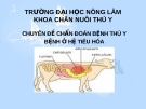 Chuyên đề chẩn đoán bệnh thú y bệnh ở hệ tiêu hóa - ĐH Nông Lâm