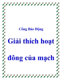 Cổng Báo Động