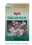 Giáo trình Nghề trồng nấm mùa hè - Nguyễn Lân Hùng