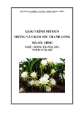 Giáo trình Trồng và chăm sóc thanh long