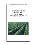 Giáo trình Chăm sóc - Nghề: Trồng đậu tương, lạc