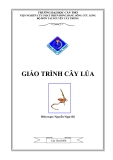 Giáo trình Cây lúa - Nguyễn Ngọc Đệ