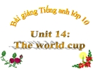 Bài giảng Tiếng Anh 10 unit 14: The World cup