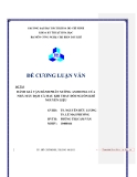 Tiểu luận:ĐÁNH GIÁ VẬN HÀNH PHÂN XƯỞNG AMMONIA CỦA NHÀ MÁY ĐẠM CÀ MAU KHI THAY ĐỔI NGUỒN KHÍ NGUYÊN LIỆ