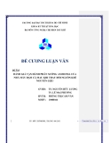 Luận văn:ĐÁNH GIÁ VẬN HÀNH PHÂN XƯỞNG AMMONIA CỦA NHÀ MÁY ĐẠM CÀ MAU KHI THAY ĐỔI NGUỒN KHÍ NGUYÊN LIỆU