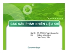 CÁC SẢN PHẨM NHIÊN LIỆU KHÍ