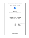 Tiểu luận: PHỤ GIA CHỐNG TÁCH PHA CHO XĂNG PHA CỒN