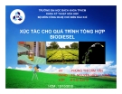 Luận văn:XÚC TÁC CHO QUÁ TRÌNH TỔNG HỢP BIODIESEL