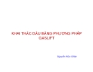 CƠ SỞ LỰA CHỌN PHƯƠNG PHÁP KHAI THÁC BẰNG GASLIFT TẠI VIỆT NAM