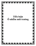 Tiểu luận ô nhiễm môi trường