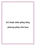 Kỹ thuật nhân giống bằng phương pháp cắm hom