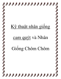 Kỹ thuật nhân giống cam quýt và Nhân Giống Chôm Chôm