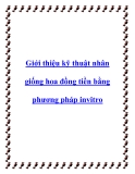 Giới thiệu kỹ thuật nhân giống hoa đồng tiền bằng phương pháp invitro