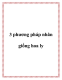 3 phương pháp nhân giống hoa ly