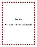Tiểu luận :Các chính sách phát triển kinh tế