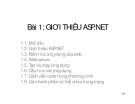 GIỚI THIỆU ASP.NET