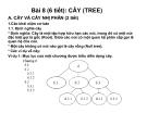 Bài 8:Cây nhị phân