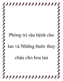 Phòng trị sâu bệnh cho lan và những bước thay chậu cho hoa lan