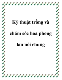 Kỹ thuật trồng và chăm sóc hoa phong lan nói chung