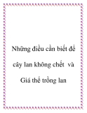 Những điều cần biết để cây lan không chết và Giá thể trồng lan