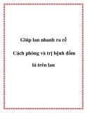 Giúp lan nhanh ra rễ và  Cách phòng và trị bệnh đốm lá trên lan