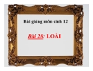 Bài giảng Sinh học 12 bài 28: Loài