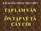 Bài giảng Tiếng việt 5 tuần 27 bài: Ôn tập tả cây cối