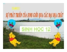 Bài giảng Sinh học 12 bài 33: Sự phát triển của sinh giới qua các đại địa chất